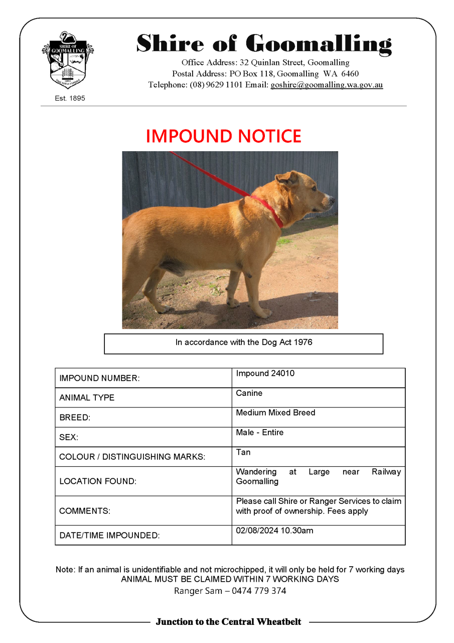 Dog Impound Notice