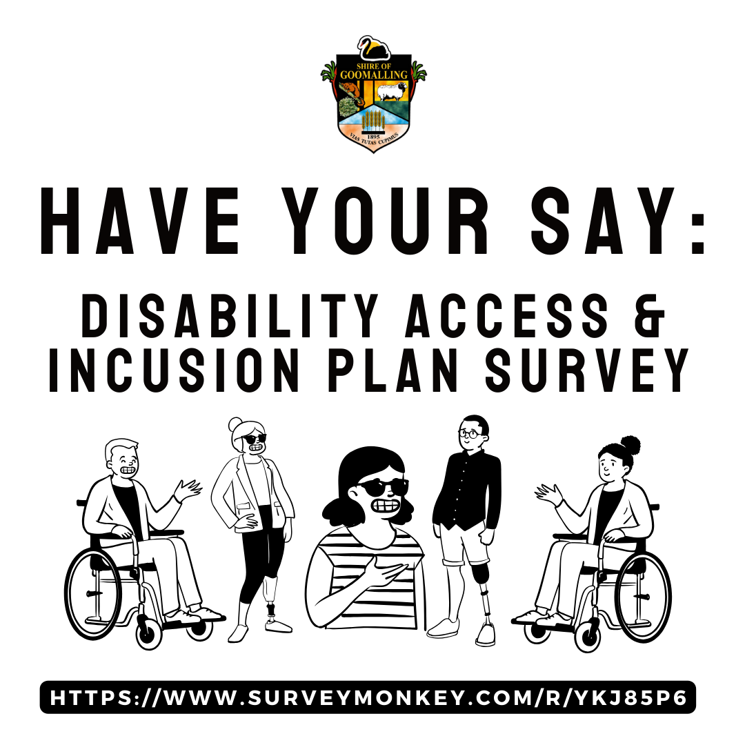 Disability Access and Inclusion Plan Survey